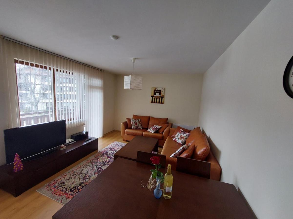 Apartment Pirin バンスコ エクステリア 写真